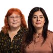 Cao info adviseurs: mr. Viviana Contreras Salazar en mr. Marina de Voogdt